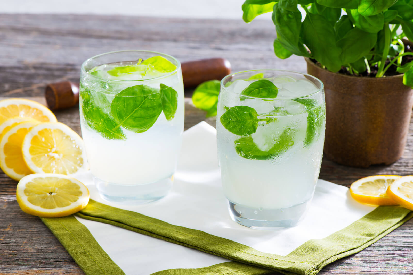 Sparkling Basil Lemonade Recipe Tropicana.ca